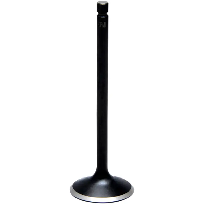 Black Diamond Engine Valve