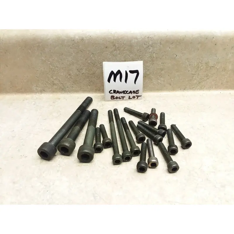 1996 Yamaha Virago XV 1100 XV1100 Engine Case Mount Bolts ANX-A53 #M17