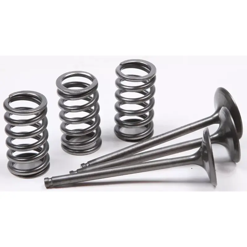 Pro X 28.SIS2424-2 Steel Valves and Spring Kits