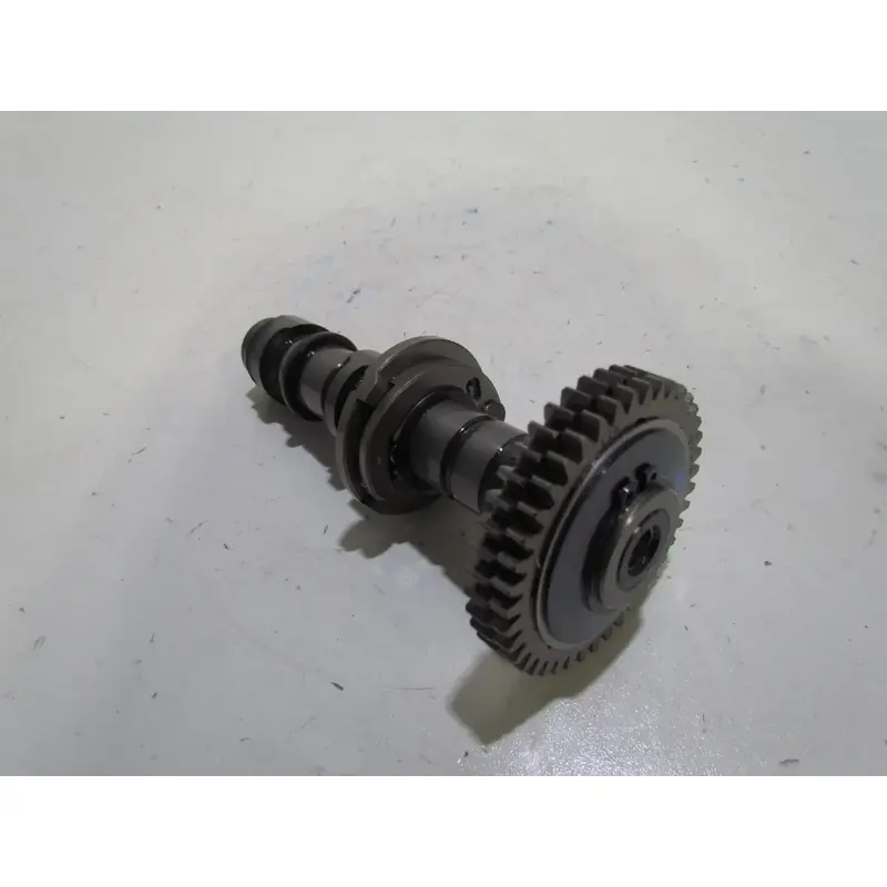 Suzuki King Quad LTA 750 Camshaft Exhaust 2017 #4