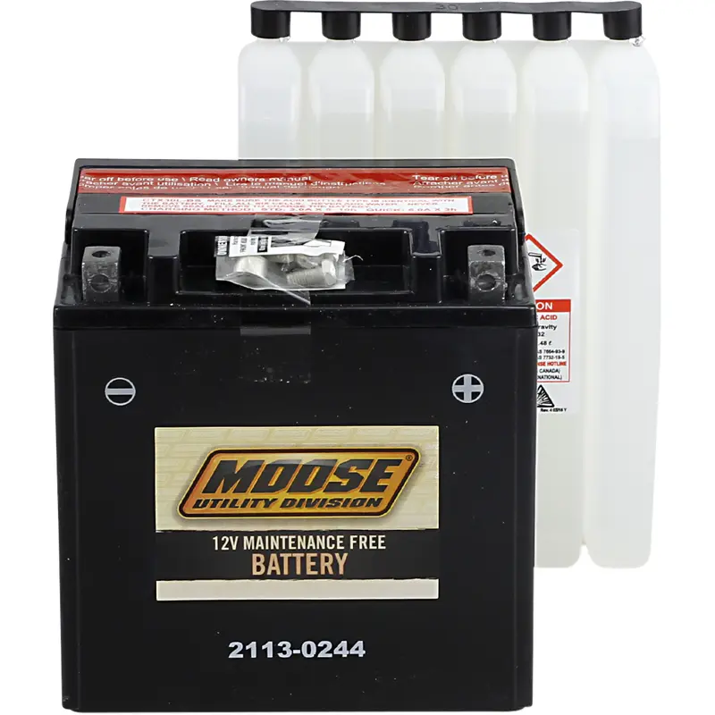 AGM Maintenance-Free Battery