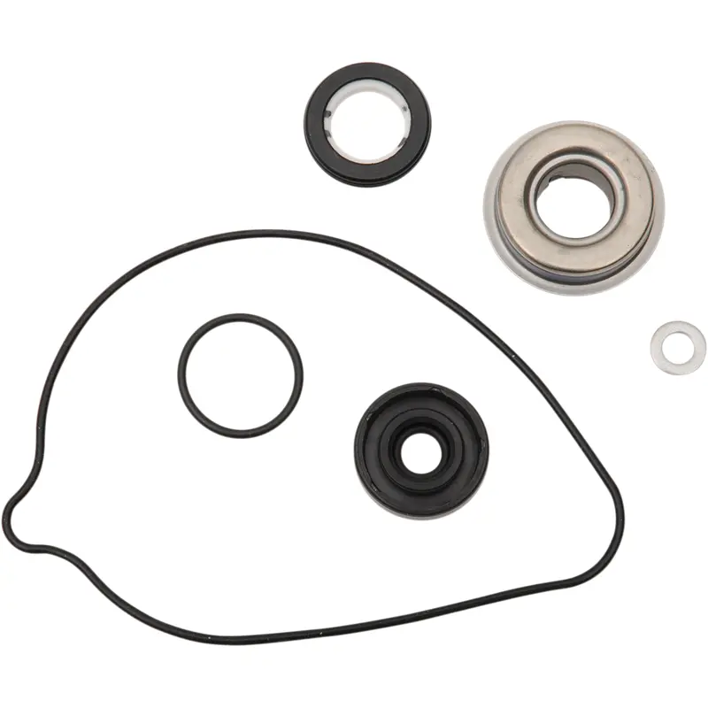 Water Pump Rebuild Kit