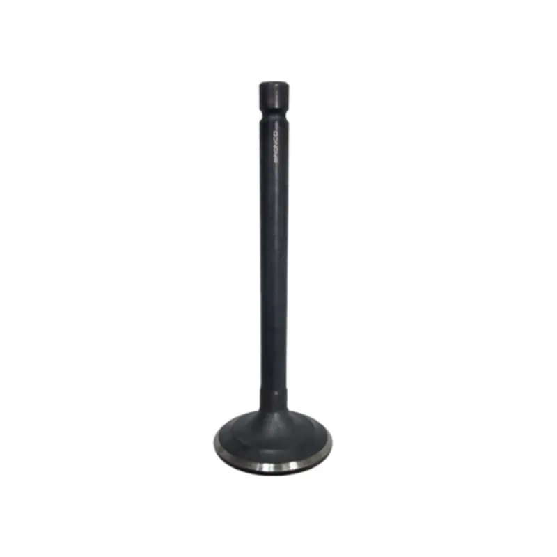 BRONCO INTAKE VALVE