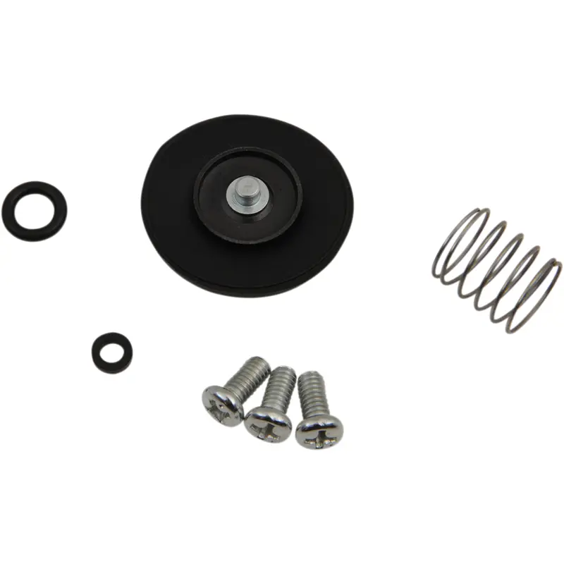 Accelerator Pump Rebuild Kit