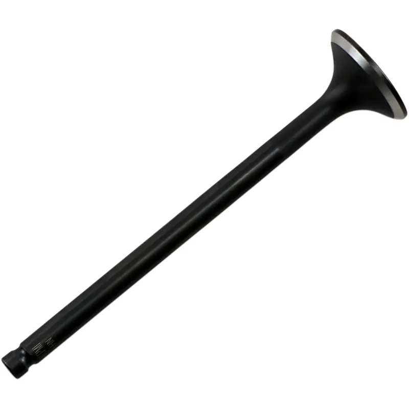Black Diamond Engine Valve