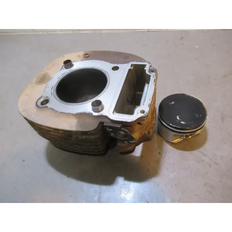 Polaris Magnum 325 4X4 Cylinder Piston 2001