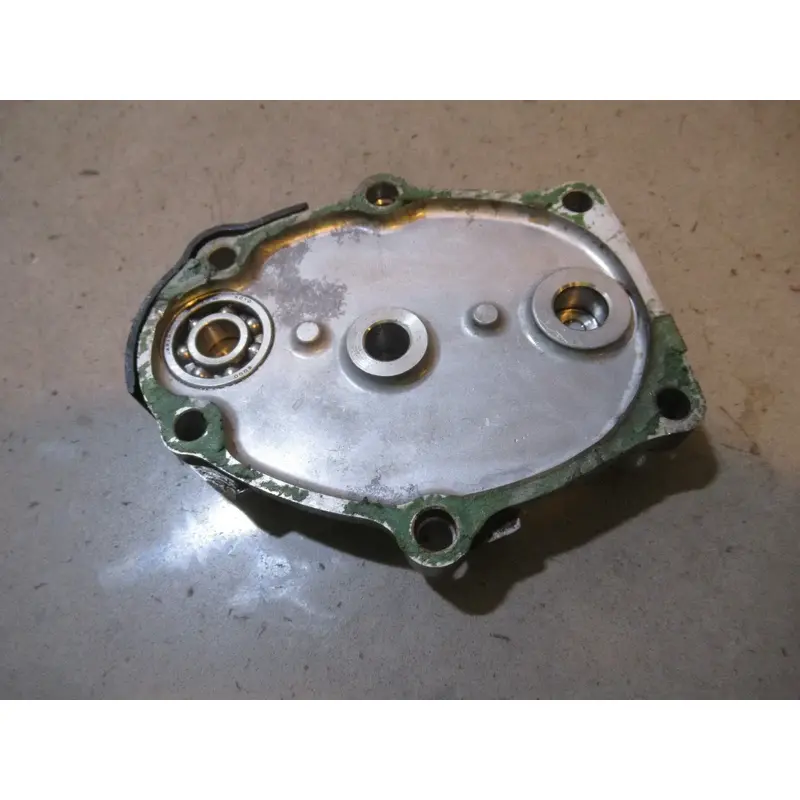 Honda TRX 300 Starter Gear Cover 1999 #2