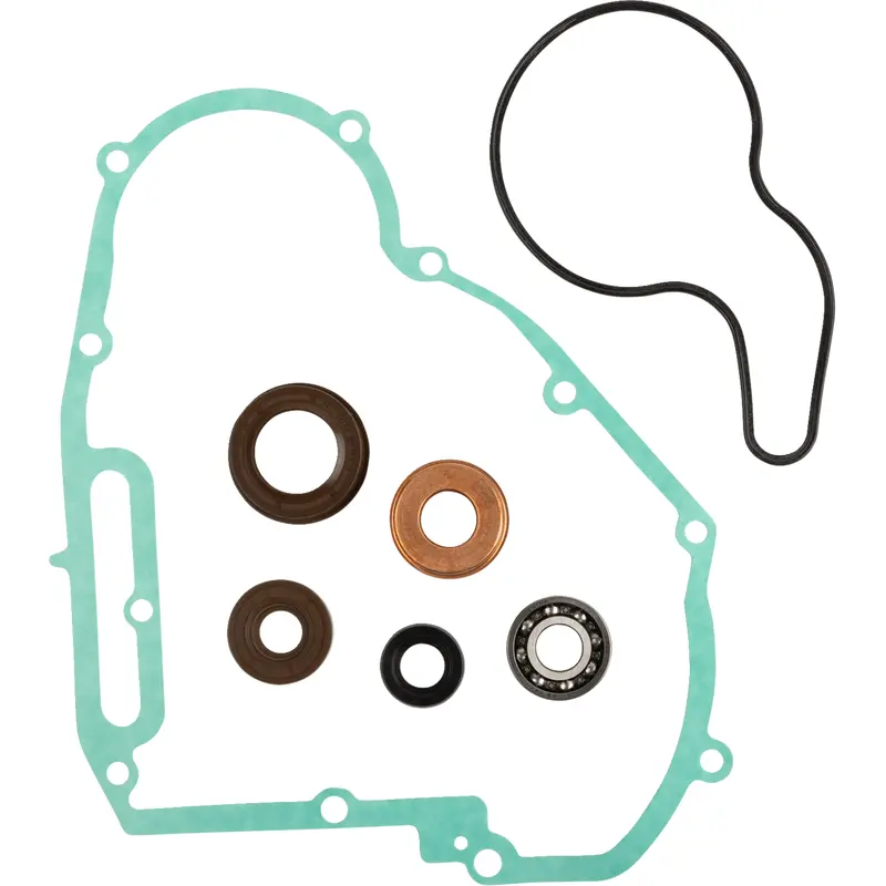 Water Pump Rebuild Kit