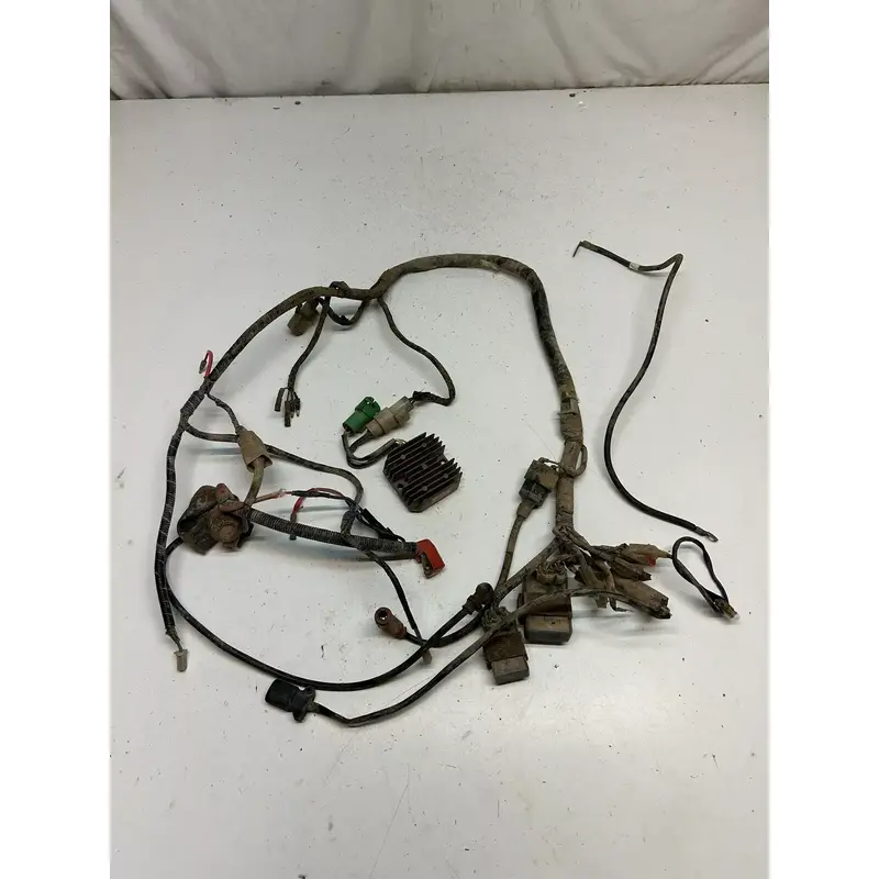 1985 85 Honda Fourtrax TRX250 trx 250 2x4 GOOD! Wiring Harness ECU CDI COIL #3