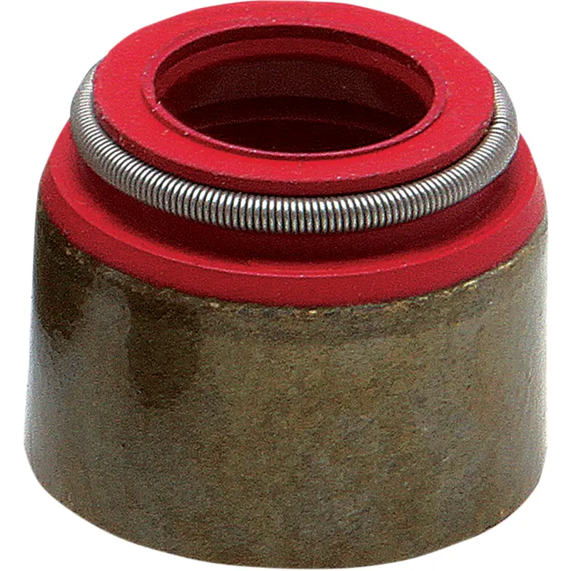 Valve Seals