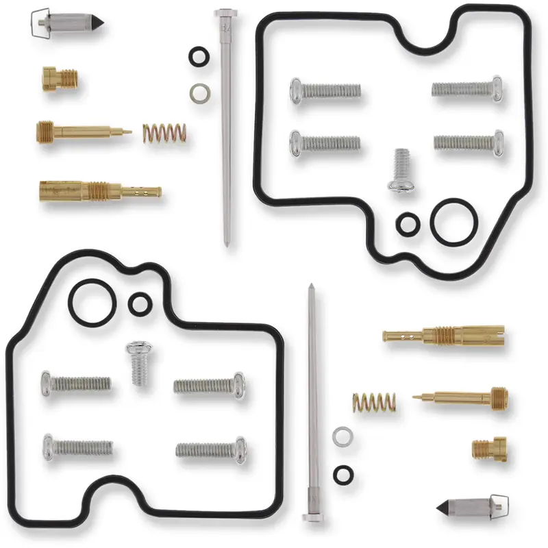 Carburetor Repair Kit