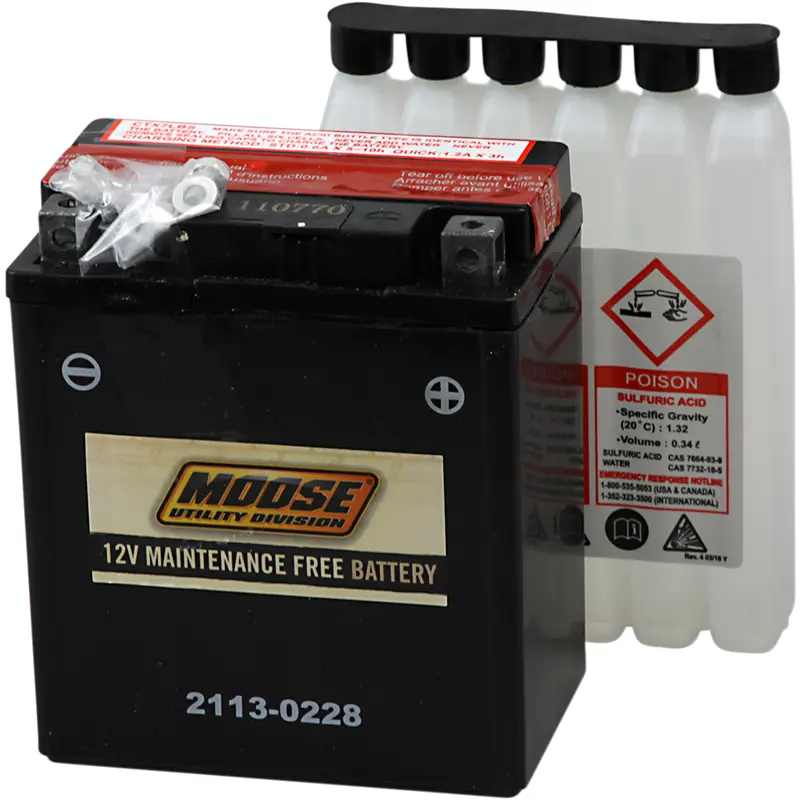 AGM Maintenance-Free Battery