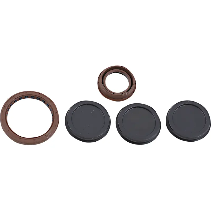Oil Seal Kit