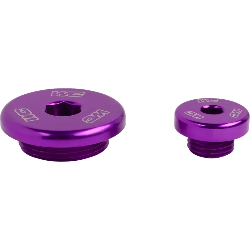Engine Plug