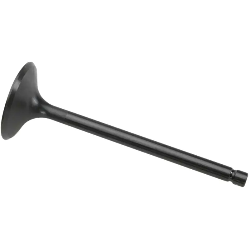 Black Diamond Engine Valve