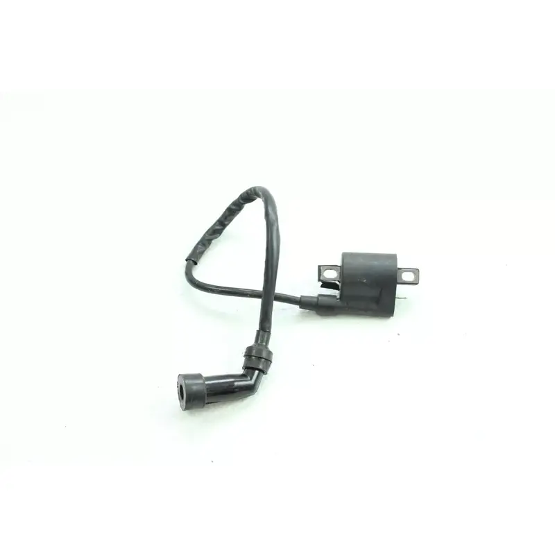 2003 Yamaha TTR225 Ignition Coil B4310