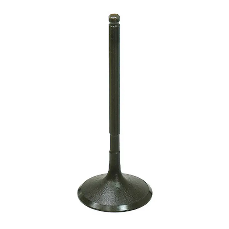 BRONCO INTAKE VALVE