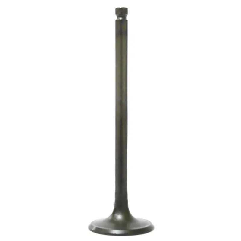 BRONCO INTAKE VALVE