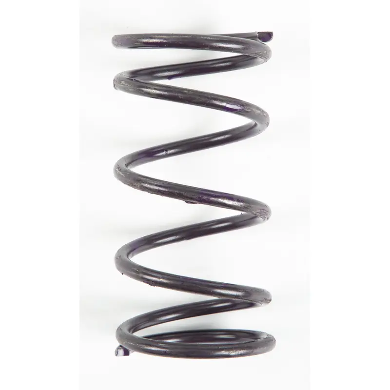 Clutch Spring