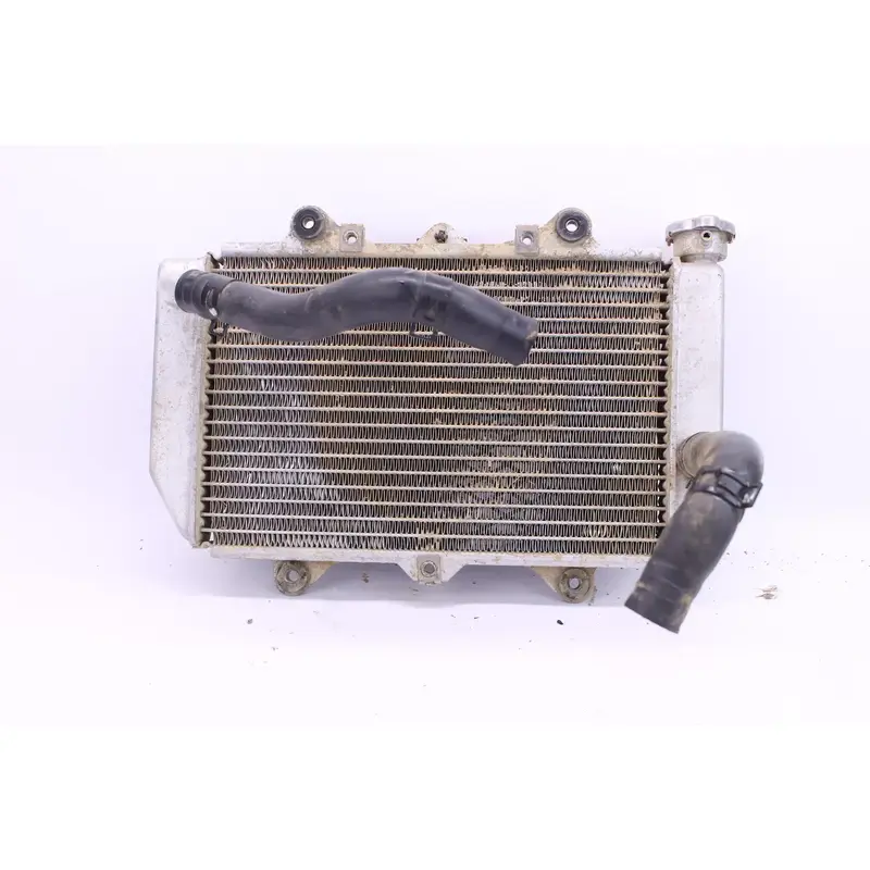 2004 Yamaha Yfz450 Oem Engine Radiator Motor Cooler Cooling Radiater S8978