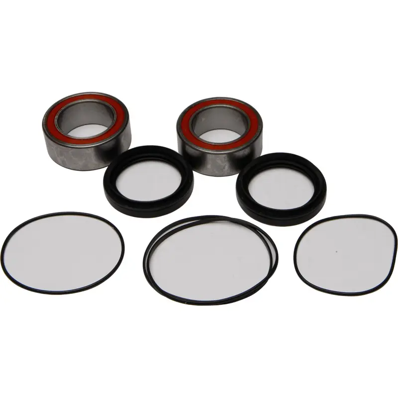 ALL BALLS WHEEL BEARING & SEAL KIT