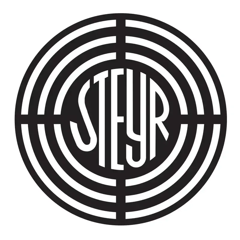 STEYR- 6303- BEARING -  N.O.S.