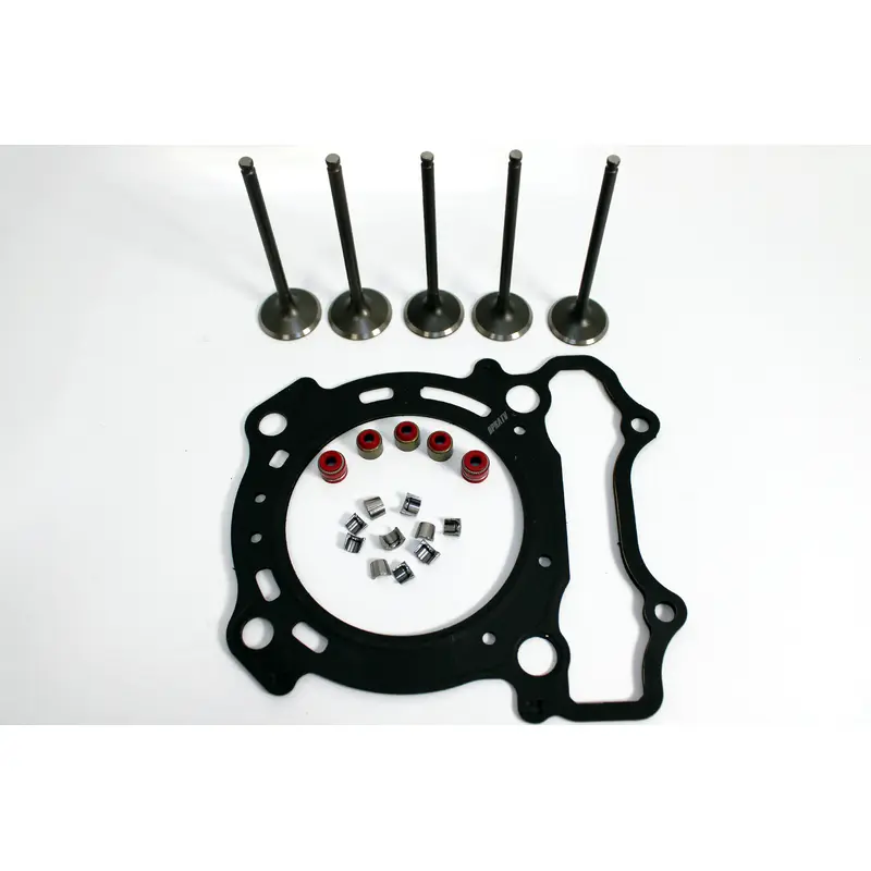 Yamaha WR250F WR 250F Intake Exhaust Valves Kit Gasket KIBBLEWHITE Seals Keepers