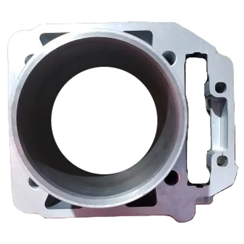 ODES-Cylinder Assembly-21040109001