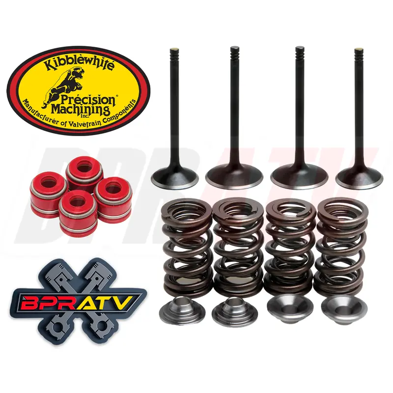 07 08 CRF450R CRF 450R +2 KIBBLEWHITE Exhaust Valves Stock Intake Springs Seals
