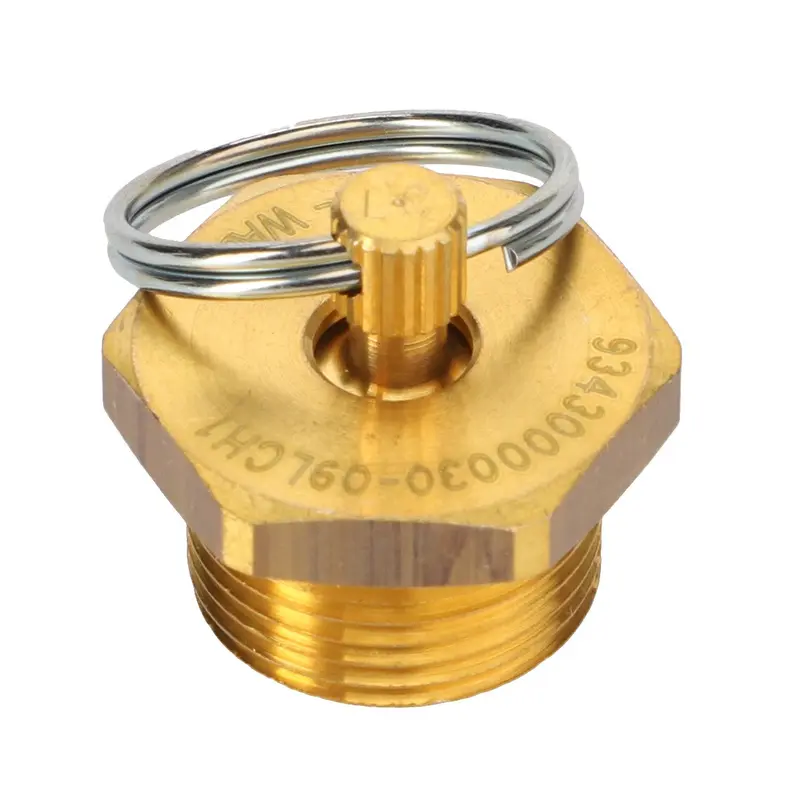 AGCO | Blow Off Valve - 4296389M2