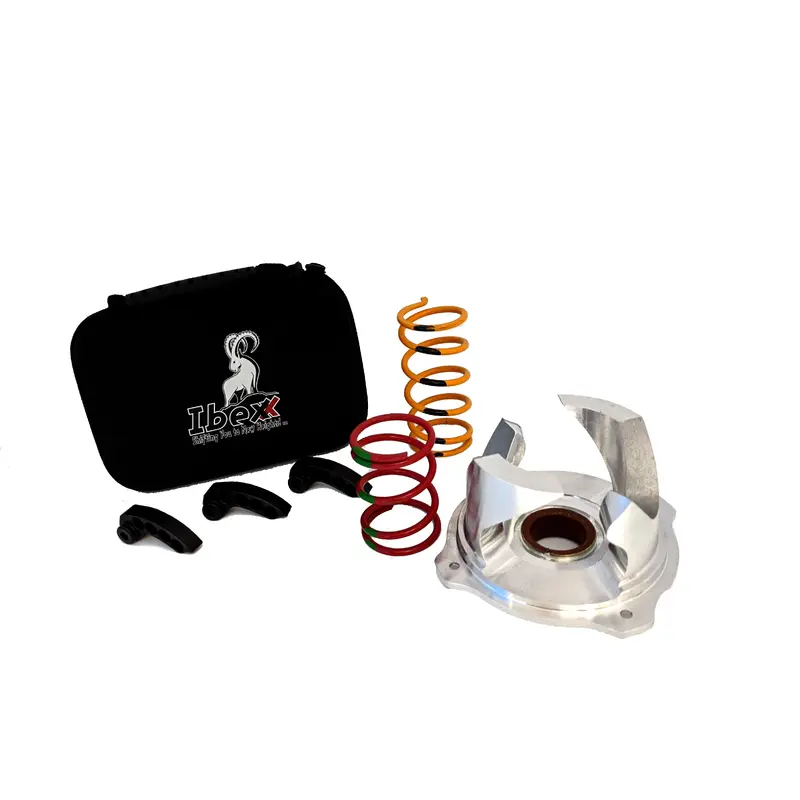 Rzr 900 Stage 2