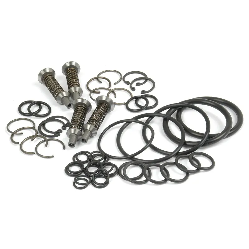 Valve & O'Ring Kit | Sparex Part No.S.42009