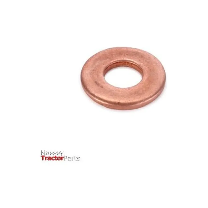 Massey Ferguson - Injector Washer - 3641568M1