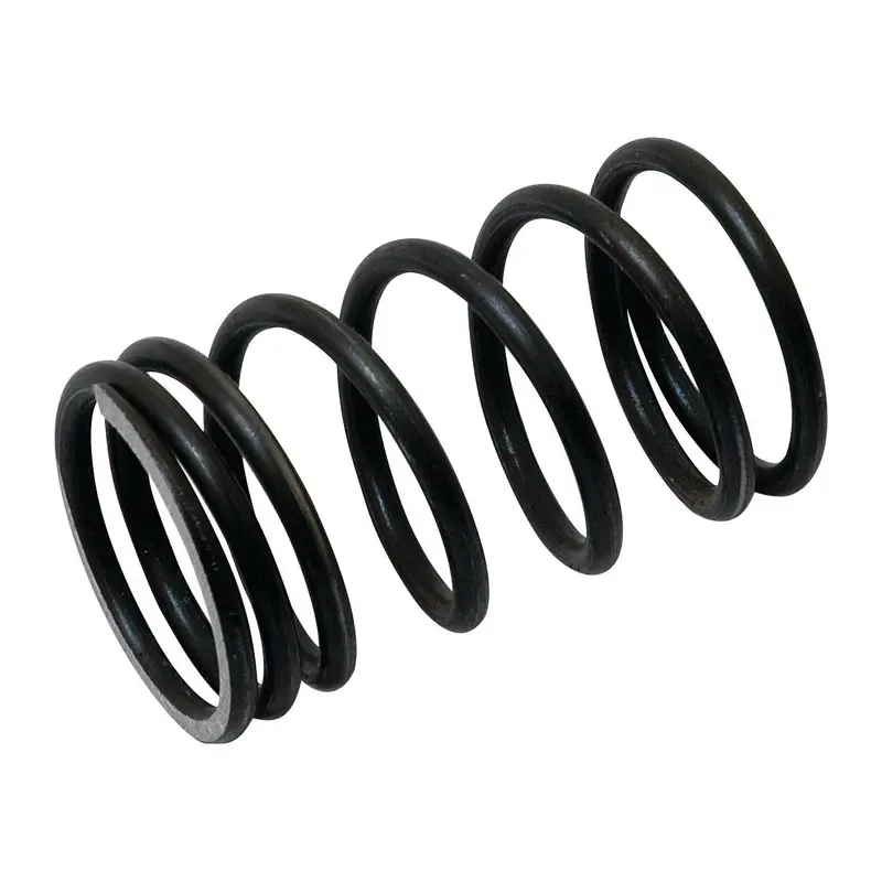 *SPECIAL PRICE* - Valve Spring - Outer | Sparex Part No.S.40504