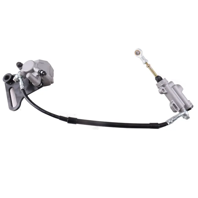Rear Brake Assembly