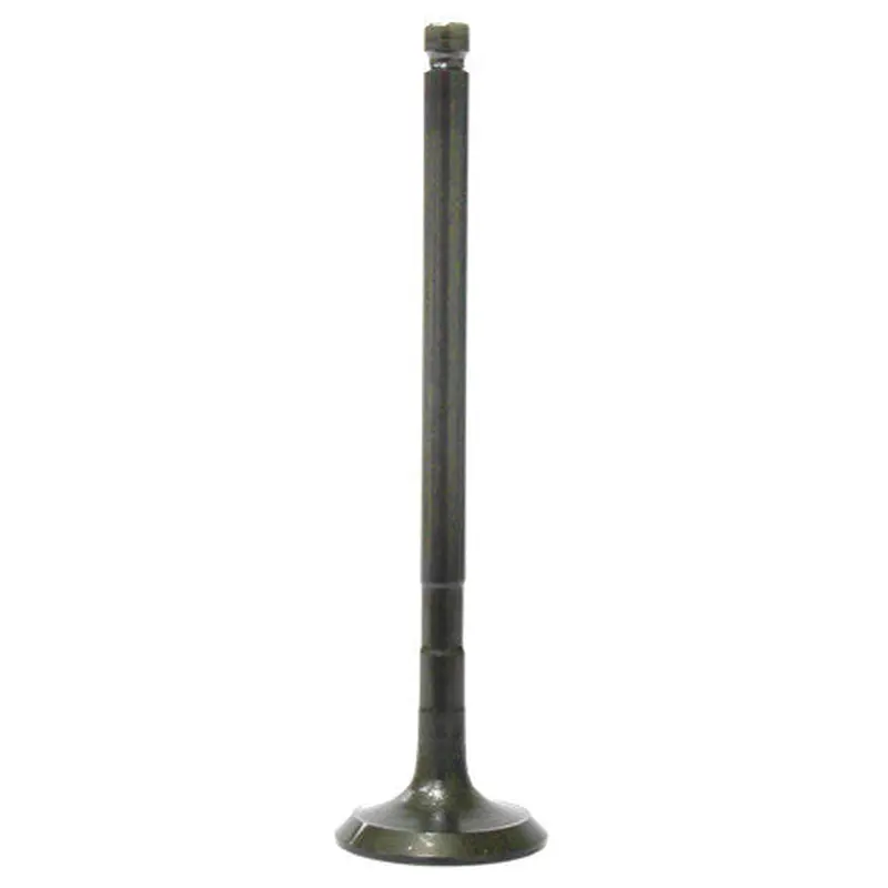 BRONCO EXHAUST VALVE AU-09193E