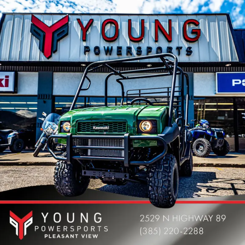 New 2025 Kawasaki Mule 4010 TRANS4x4
