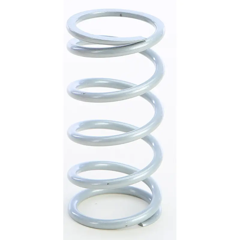 EPI PRIMARY CLUTCH SPRING SILVER PS-6