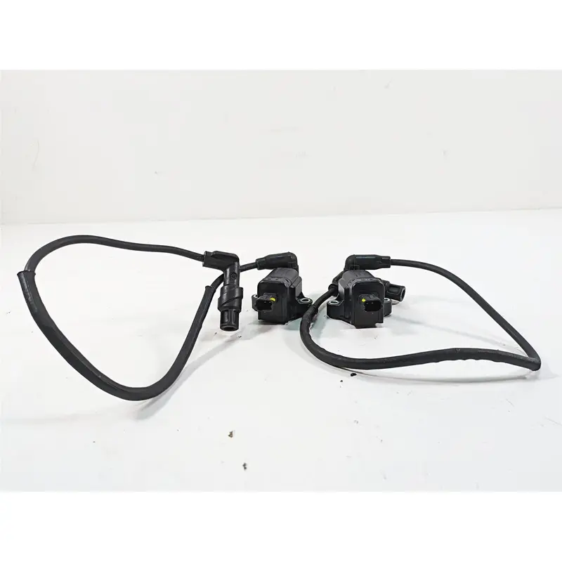 2020 Moto Guzzi V85 TT Adventure Eldor Ignition Coil Wires Plug Set 641901