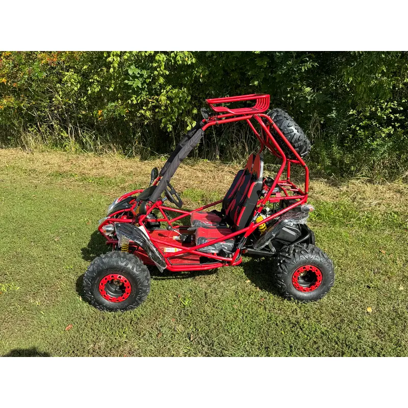 Dongfang Captain Children's Go-Kart Buggy 200GSA, 4-Stroke 196cc