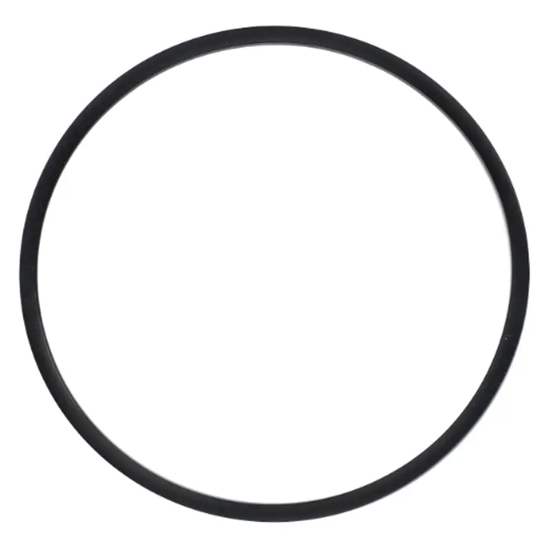 Massey Ferguson - Seal Filter - 3903195M1