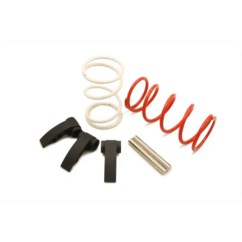 Clutch Kit for Polaris RZR Pro R