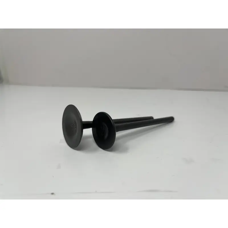 X22R MAX 250cc Motorcycle | Valve Set (H6-70156 / H6-70157)